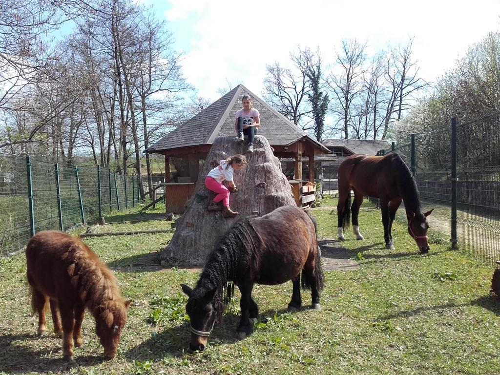 Guesthouse Zorko Gostilna Domen Smarjeske Toplice Exterior foto